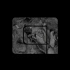 Meet your Posher, Jake